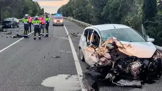 Imagen de archivo de un accidente por fauna