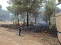 Operación De Los Bomberos En Villalpando