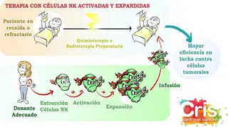 Los proyectos de investigación demuestran la eficacia de las terapias celulares
