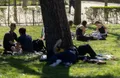 Un grupo de personas sentadas en el césped de un parque- Eduardo Parra - Europa Press - Archivo