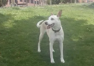 07 blanqui 073310