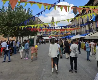 Fiesta de la Vendimia en Toro