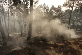 Incendio en Burgohondo (Ávila) | José Vicente (ICAL)