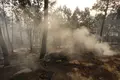 Incendio en Burgohondo (Ávila) | José Vicente (ICAL)