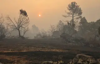José Vicente / ICAL. El incendio forestal de Burgohondo (Ávila) calcinó ya alrededor de 50.000 hectáreas