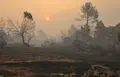 José Vicente / ICAL. El incendio forestal de Burgohondo (Ávila) calcinó ya alrededor de 50.000 hectáreas