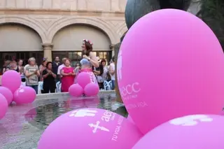 XVI desfile de la AECC de Zamora 2017