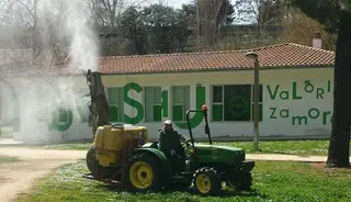 Un trabajador fumiga una zona ajardinada