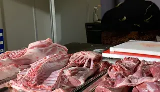 Carne de lechazo