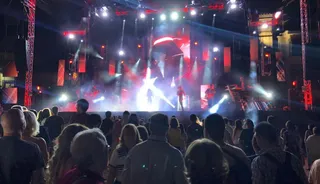 Imagen de una verbena