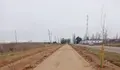 Cordel de Roales