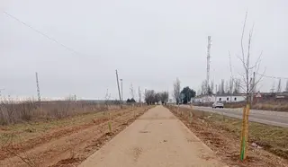 Cordel de Roales