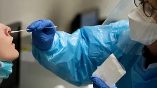 Pcr
