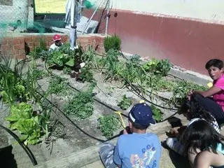 Huerto Veniabo