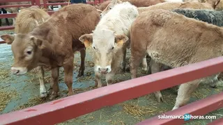 Sin título 5