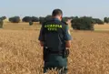 Guardia civil