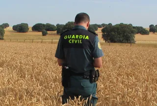 La Guardia Civil de Zamora investiga falsedad documental y fraude en las subvenciones de la PAC
