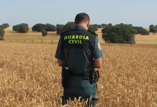 Guardia civil