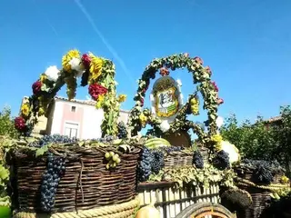 Fiesta de la Vendimia de Toro. Archivo