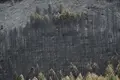 Incendio De La Mierla. Ep