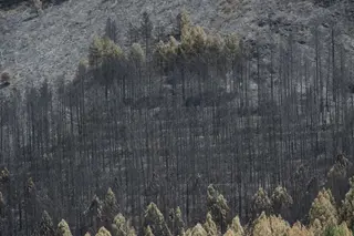 Incendio De La Mierla. Ep
