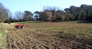 UPA-COAG lamenta “la considerable pérdida de renta en el sector agrario por los bajos precios percibidos”