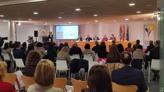 Congreso Regional sobre Violencia de Género en Zamora