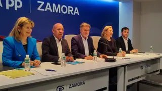 Comité Ejecutivo para aprobar del Comité de Campaña para las Elecciones al Parlamento Europeo del 9 J.