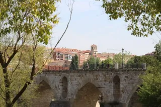 Tiempo arboles puente despejado sol zamora