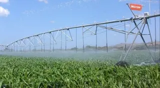 Campos de regadío. Archivo