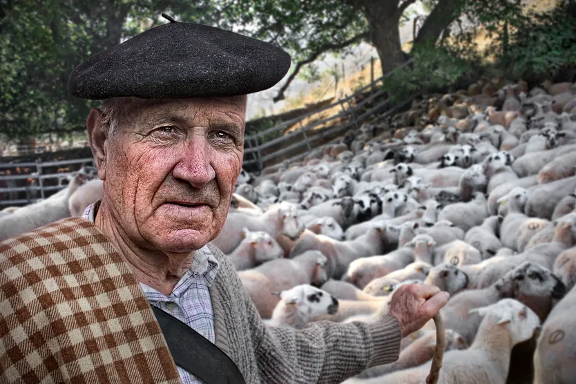 El Pastor. Luisa María Barrio. Premios Diego de Losada