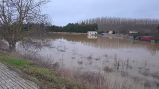 Crecida del río Órbigo en Benavente