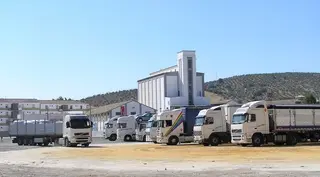 Los transportistas piden “tolerancia” ante la llegada de la tramitación electrónica al sector