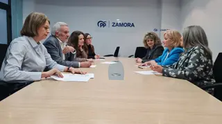 Los candidatos del PP por Zamora se reúnen con los colegios profesionales de Médicos, de Enfermería, de Farmacéuticos y de Veterinarios | ¦