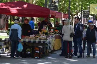 Mercado Ecológico mayo 2017