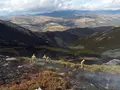 Incendio de Porto en agosto de 2025. Archivo