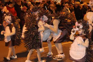 Primer desfile de Carnaval el pasado domingo en Zamora | Alejandro Sardón