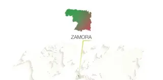 Zamora 10 dará a conocer la próxima semana el ganador del concurso la Marca Zamora