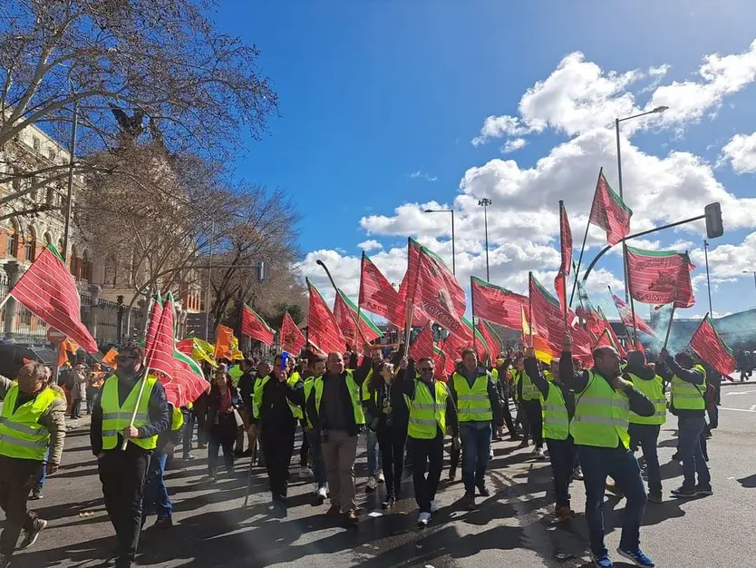 Agricultores y ganaderos zamoranos en Madrid