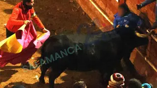 Primer corneado de la capea del viernes en Ciudad Rodrigo. | S24h