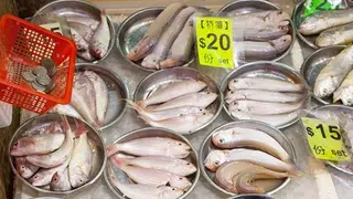 mercado pescaderia