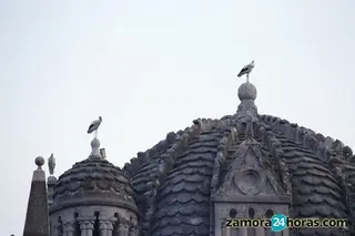 Máximas de casi treinta grados antes de otra bajada de las temperaturas