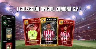 Colección del Zamora CF