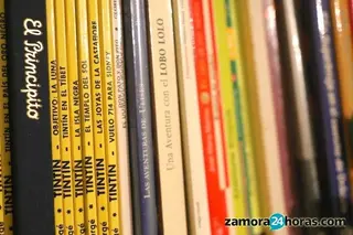 Comienza la campaña de recogida de libros del Consejo Local de la Juventud