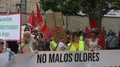 Manifestación en contra de las platas de biogás en Zamora