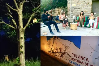 Algunas de las actividades organizadas por CrioSanabria