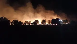 Fuego originado en Zamora durante el mes de agosto