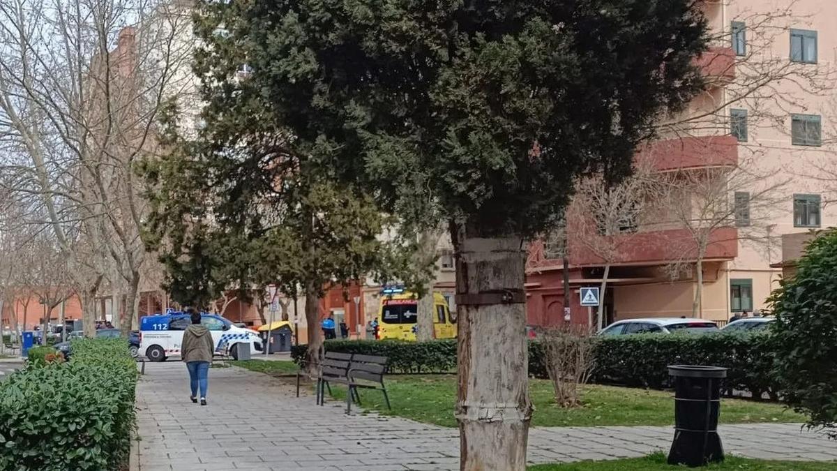 Una mujer herida tras un atropello