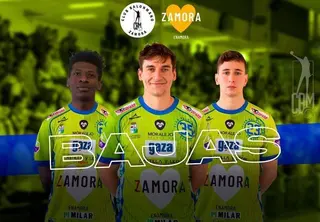 Bajas en el BM Zamora