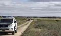 Res Brava Fugada En Morales Del Vino. Guardia Civil